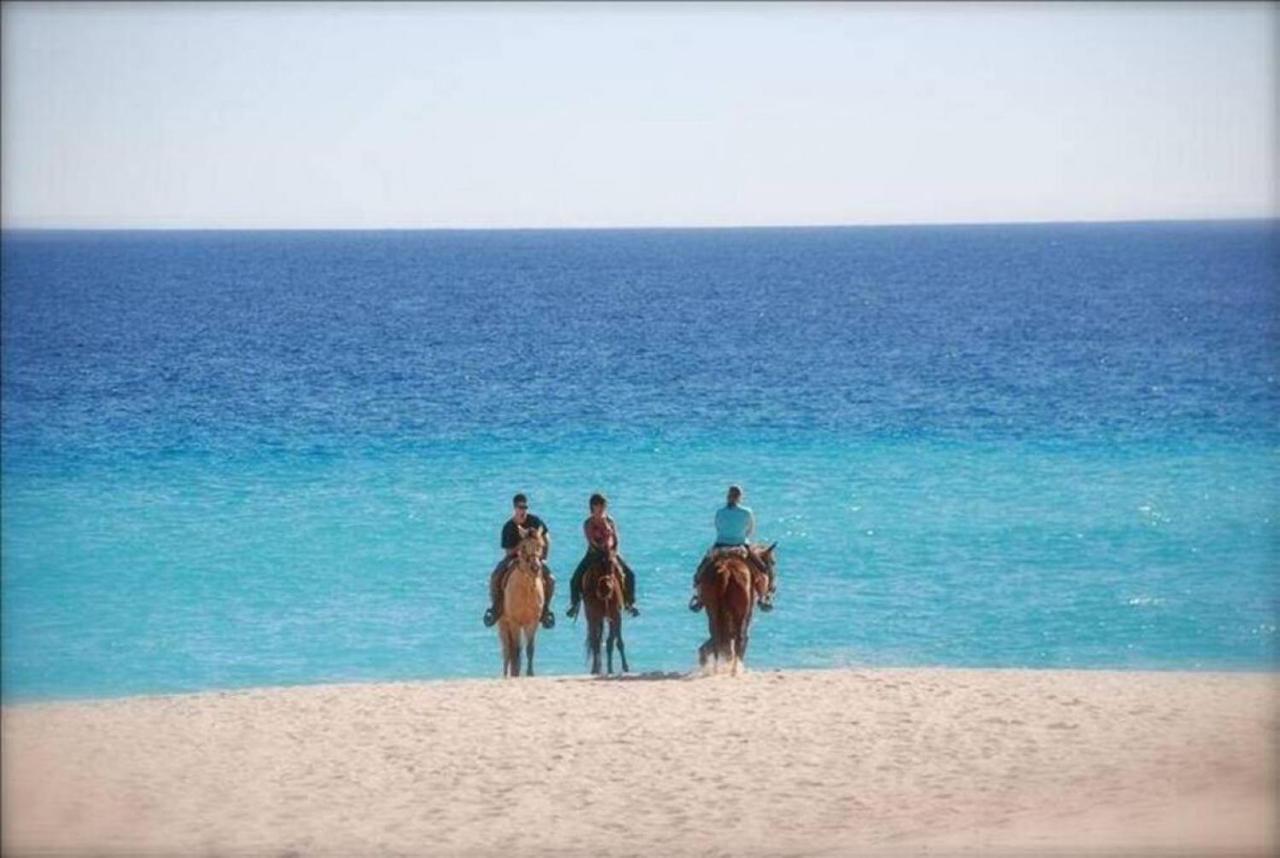 Beachfront 3 Bed Beautiful Condo At Casa Del Mar San José del Cabo 외부 사진